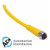 Turck Pkgv 4M-6 Actuator and Sensor Cable, Connection Cable 777008302