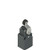 Pizzato FC 3451 Position Switch with Roller Lever - Durable Limit Switch for Precise Industrial Applications