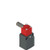 Pizzato FC 3495 Safety Switch for Hinged Doors - Enhance Security and Prevent Unauthorized Access