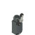 Pizzato FD 542 Position Switch with Bi-Stable Double-Track Lever - Precision Limit Switch for Industrial Applications