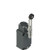 Pizzato FD E135 Adjustable Roller Lever Position Switch - Precision & Durability for Industrial Applications