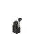 Pizzato FK 3352 Position Switch with Roller Lever - Durable Limit Switch for Precise Industrial Applications