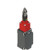 Pizzato FP 979-M2 Rope Safety Switch - No Reset Required for Simple Stop Applications