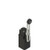 Pizzato FR 1655 Adjustable Roller Lever Position Switch - Durable & Versatile for Industrial Applications