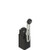 Pizzato FR 756-M2 Adjustable Roller Lever Position Switch - Precision & Durability for Industrial Applications