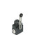 Pizzato FZ 655 Position switch with adjustable lever and roller