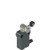Pizzato NB G122KD-DN2 Modular Prewired Switch with Adjustable Metal Revolving Lever and 14mm Roller