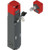 Pizzato NG 2D5D411A-F31 RFID Safety Switch with Lock & Separate Actuator - NG Series