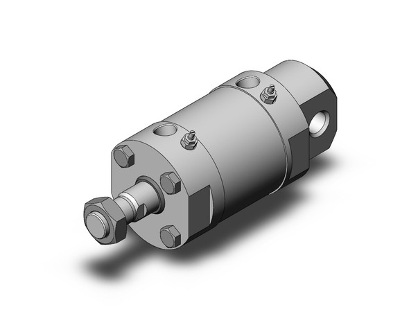 SMC CG5EA100TNSR-25 cg5, stainless steel cylinder