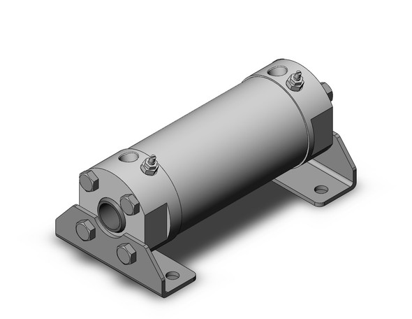 SMC CG5LA80TNSR-100 Water Resistant Cylinder
