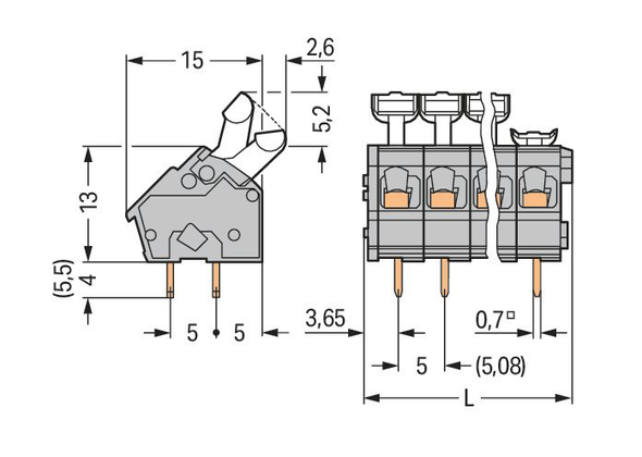 Wago 256-402/000-009/999-950 Pack of 100