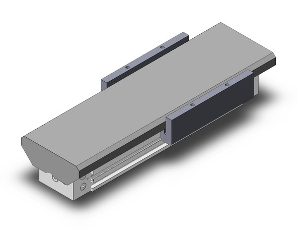 rodless cylinder slide bearing guide type