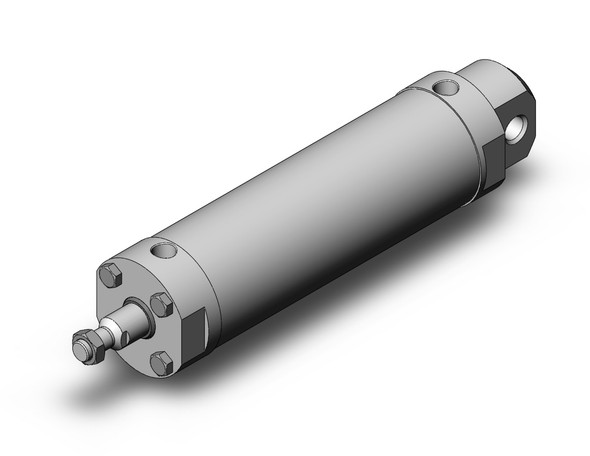 SMC CG5EN100TNSR-250-X165US cg5, stainless steel cylinder