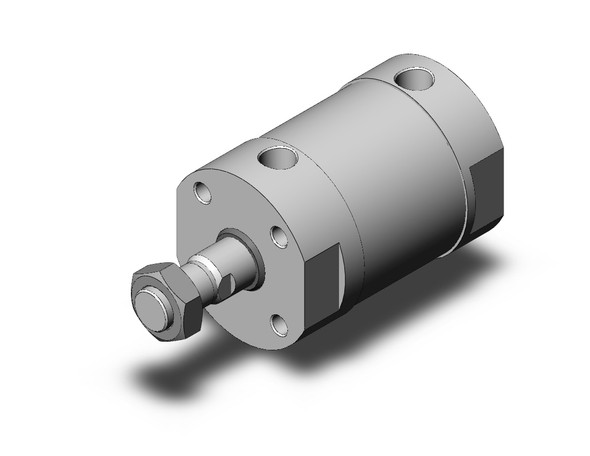 SMC CG5BN100SV-25 cg5, stainless steel cylinder