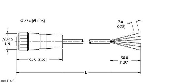 Turck Wd-Rsv 60-6M Single-ended Cordset, Straight Male Connector