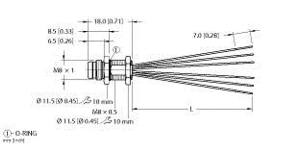 Turck Mfss 6-0.1 Single-ended Receptacle, Male Receptacle