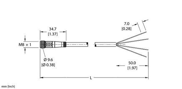 Turck Pkg 4M-0.2 Single-ended Cordset, Straight Female Connector