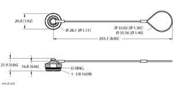 Turck Rsmc-Cc Closure/dust cap