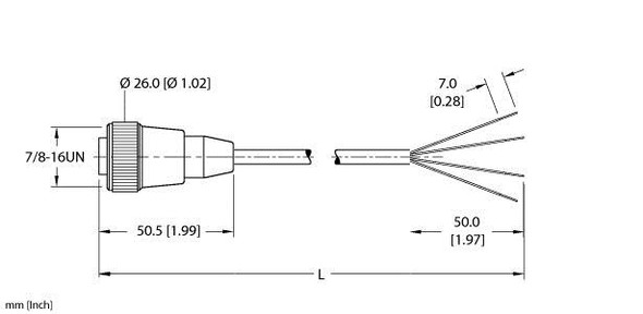 Turck Rkm 40-16M Single-ended Cordset, Straight Female Connector