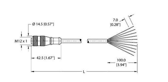 Turck Rk 10T-15 Actuator and Sensor Cable, Connection Cable