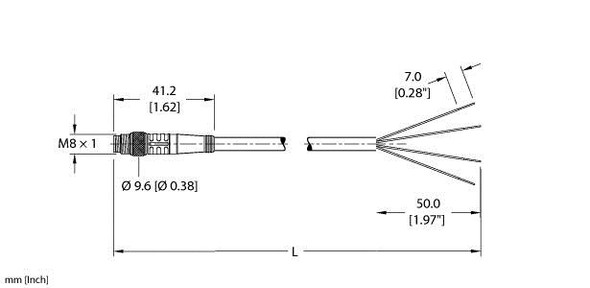 Turck Psg 4M-2/S760 Single-ended Cordset, Straight Male Connector