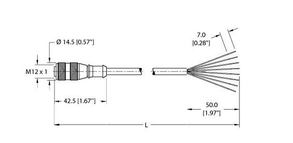 Turck Rk 8T-0.5 Actuator and Sensor Cable, Connection Cable