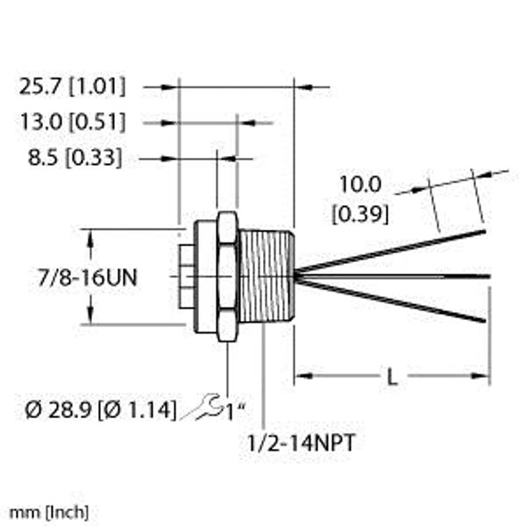 Turck Rkf 30-0.3M/Npt Single-ended Receptacle, Female Receptacle