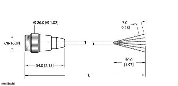 Turck Rsm 61-6M Single-ended Cordset, Straight Male Connector