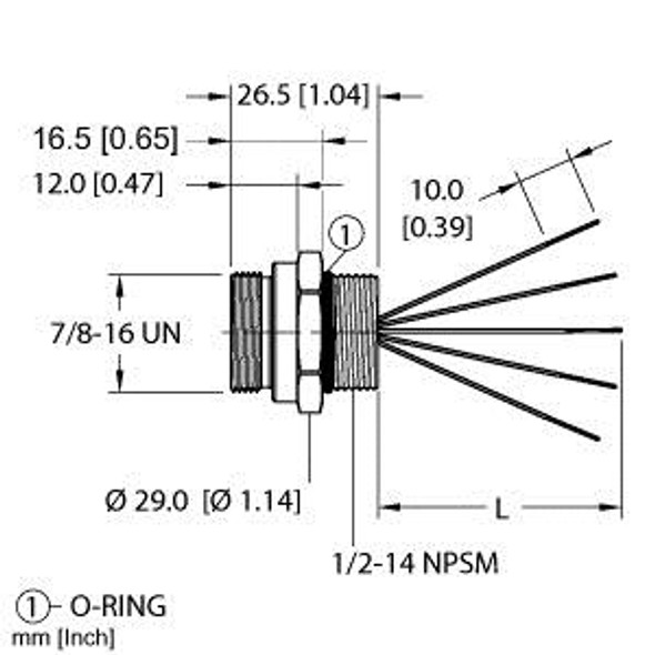 Turck Rsf 511-1M Single-ended Receptacle, Male Receptacle