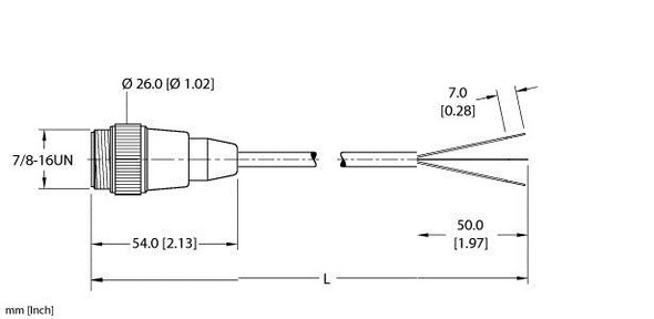 Turck Rsm 31-22M Single-ended Cordset, Straight Male Connector