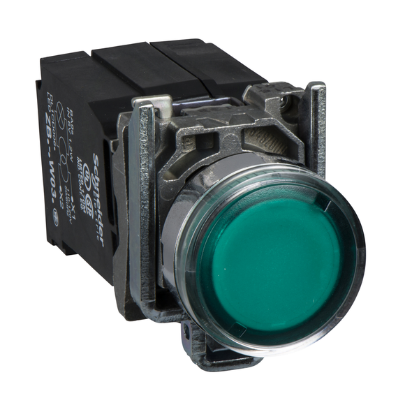 Schneider Electric XB4BW3335 Illuminated Pushbutton