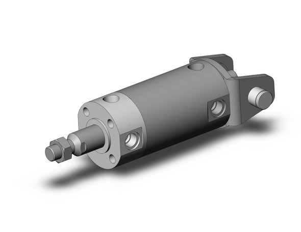 SMC NCGDN50-0100 Round Body Cylinder