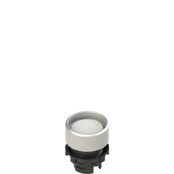 Pizzato E2 1PL2P2290 Illuminated white booted pushbutton