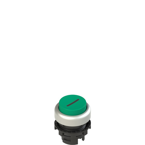 Pizzato E2 1PU2S429L2 Spring-return green projecting pushbutton with marking