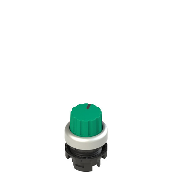 Pizzato E2 1SL42ECD49AB Illuminated knob selector, 2 positions green with marking