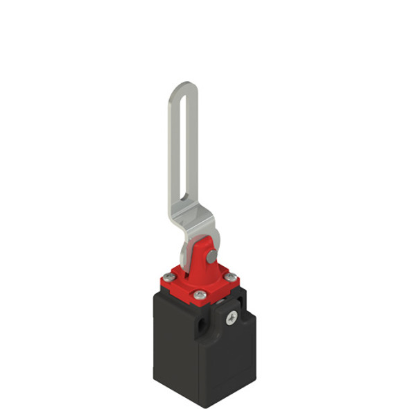 Pizzato FK 33C2 Safety switch with slotted hole lever