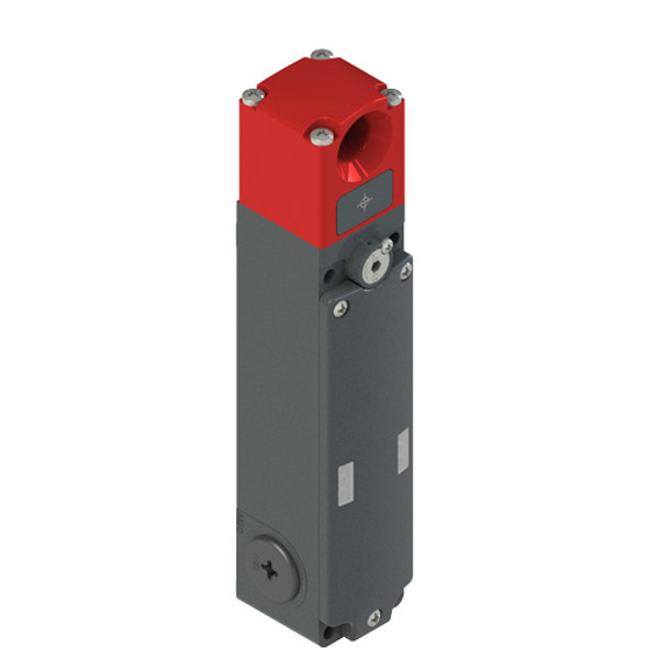 Pizzato NG 2D1D411A NG series RFID safety switch with lock