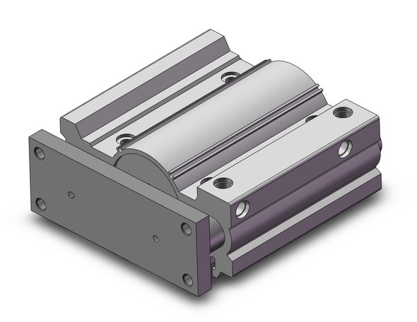 SMC MGPM80TN-100AZ Mgp-Z Cylinder