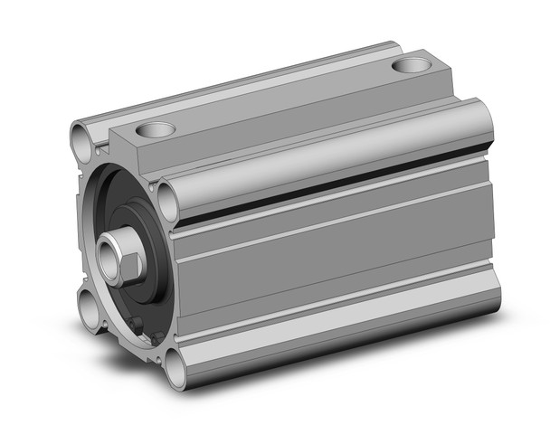 SMC CDQ2B80-100DZ-A93L Compact Cylinder