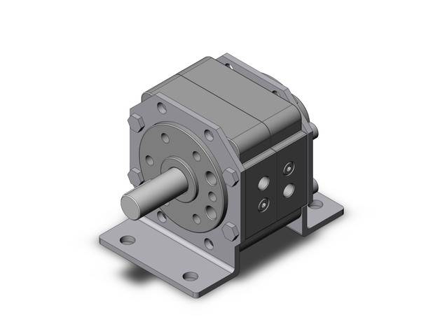 SMC CDRB1LW100-180S-XF Actuator, Rotary, Vane Type