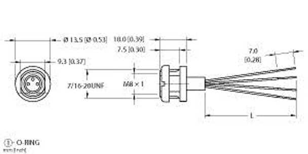 Turck Mfks 4F-0.8 Single-ended Receptacle, Female Receptacle