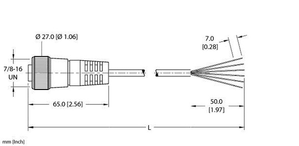 Turck Rkm 66-1M Single-ended Cordset, Straight Female Connector