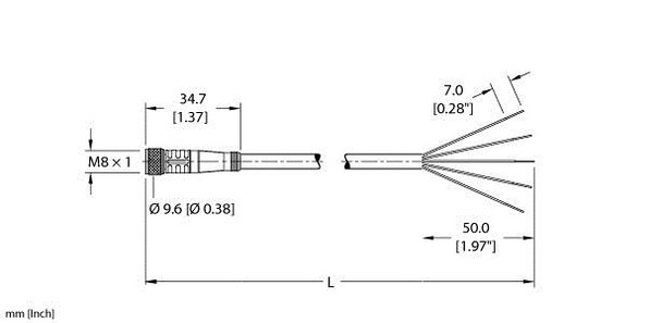 Turck Pkg 5M-3 Single-ended Cordset, Straight Female Connector