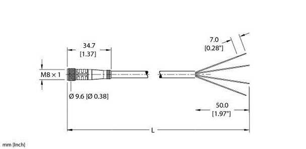 Turck Pkg 4M-23/S760 Single-ended Cordset, Straight Female Connector