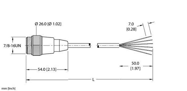 Turck Rsm 61-24M Single-ended Cordset, Straight Male Connector