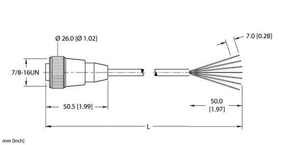 Turck Rkm 61-6M/S763 Single-ended Cordset, Straight Female Connector