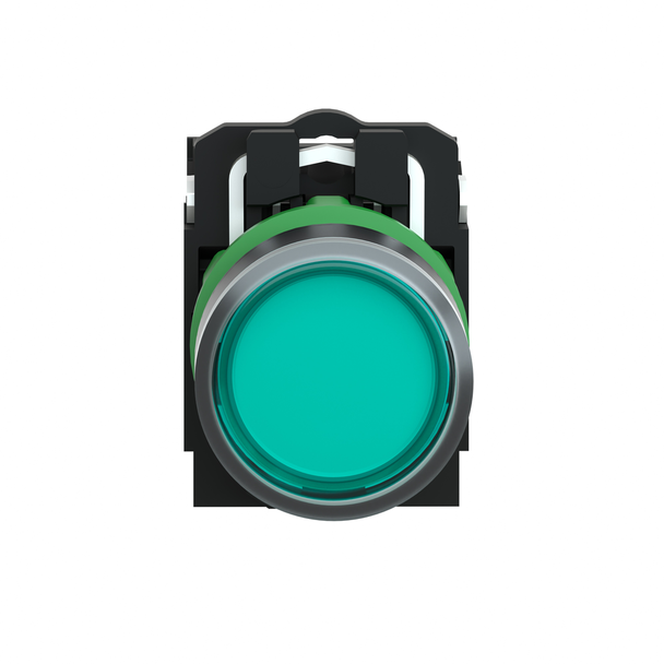 Schneider Electric XB5AW3365 Illuminated Pushbutton