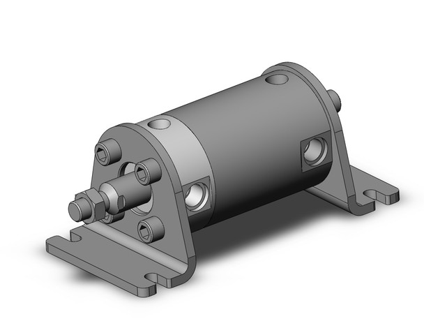 SMC NCGLN63-0100 Round Body Cylinder