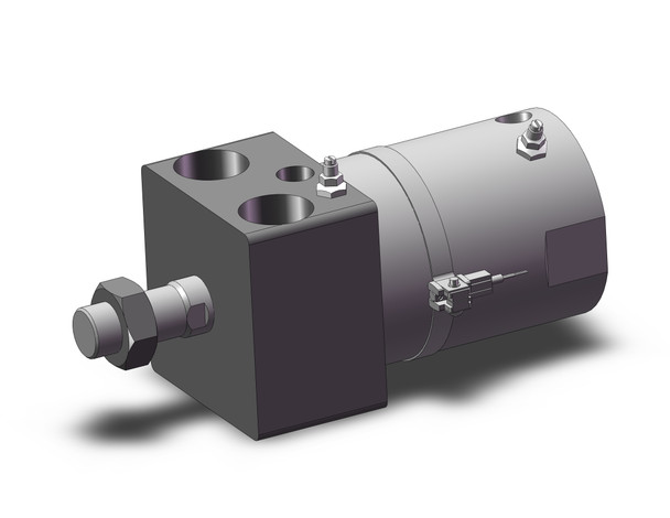 SMC CDG1RA63-25Z-M9BWZS Cg1, Air Cylinder