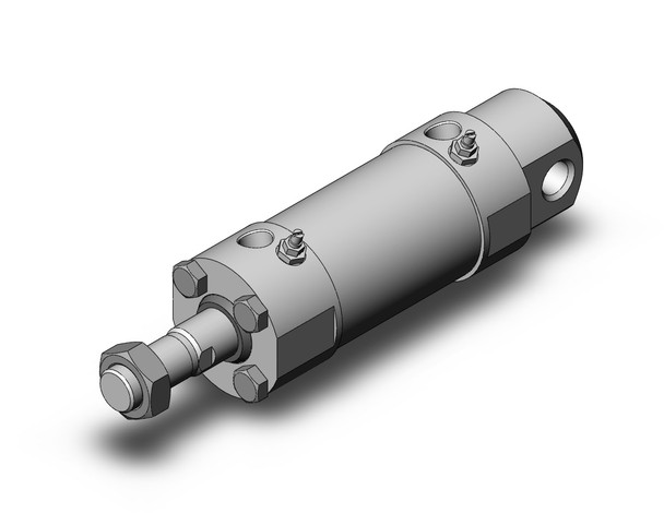 SMC CDG5EA50SR-25 Cg5, Stainless Steel Cylinder